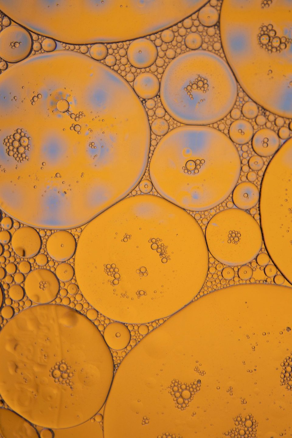 A close-up picture showing oil forming circular shapes